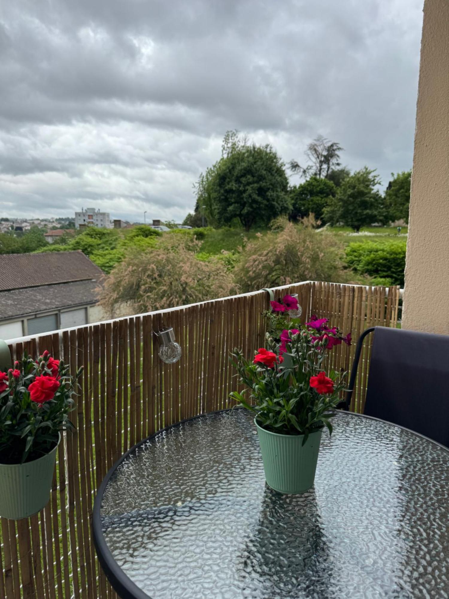 Appartement Chaleureux Et Spacieux T3 ลิมอจส์ ภายนอก รูปภาพ